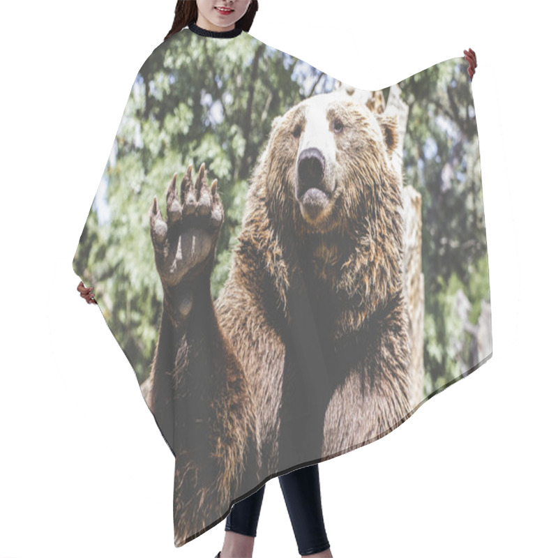 Personality  Bear Waving With Claw Hair Cutting Cape