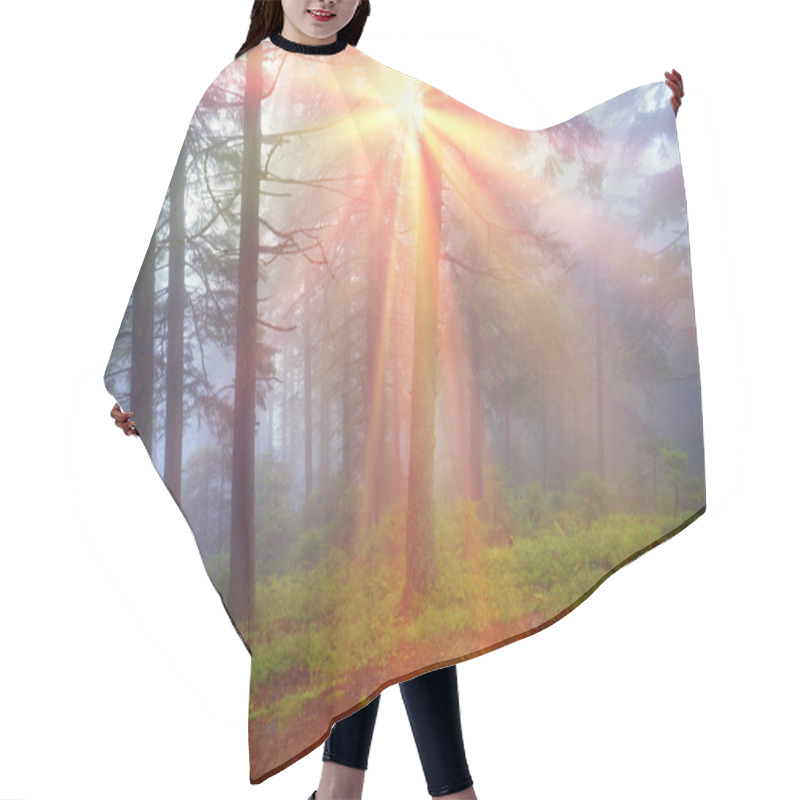 Personality  Carpathian Autumn Forest Hair Cutting Cape