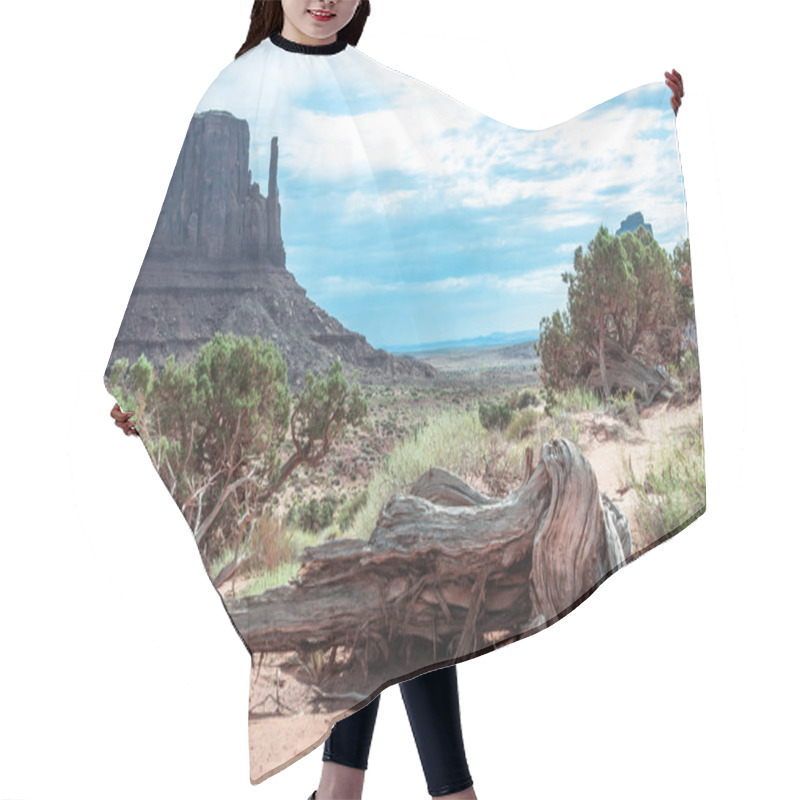 Personality  Dead Tree In Monument Valley, Arizona, Utah Hair Cutting Cape