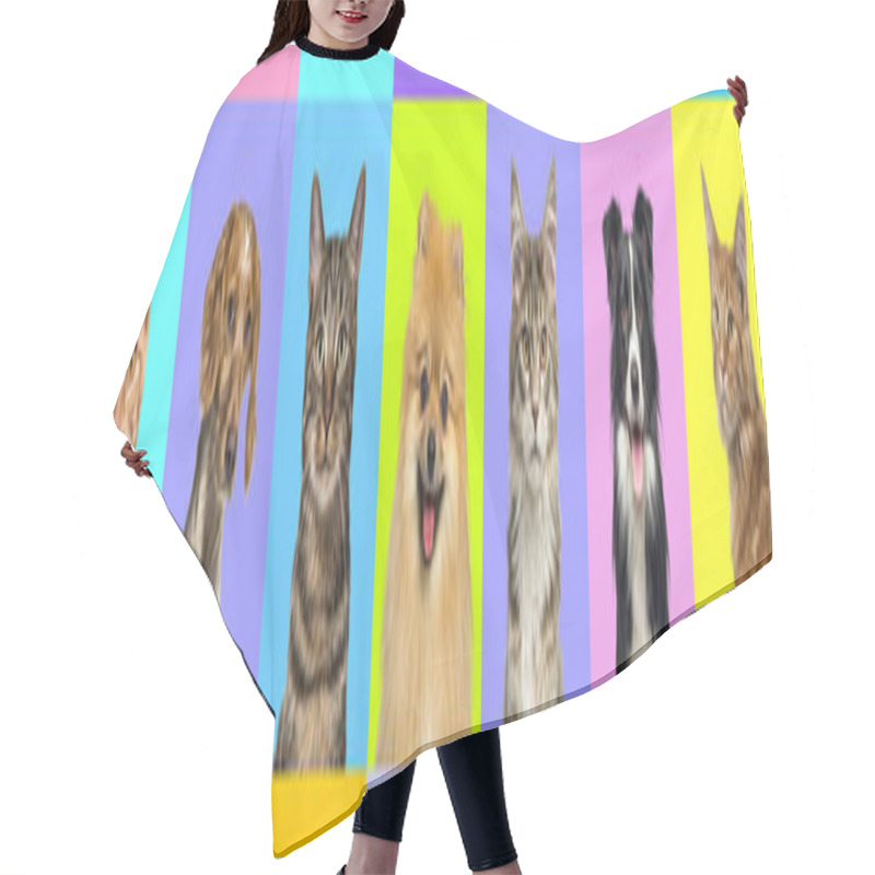 Personality  Banner With Several Head Shot Pictures Of Cats And Dogs On A Multicolored Background Surrounded By A Frieze Hair Cutting Cape