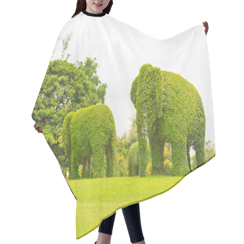 Personality  Elephan Hair Cutting Cape