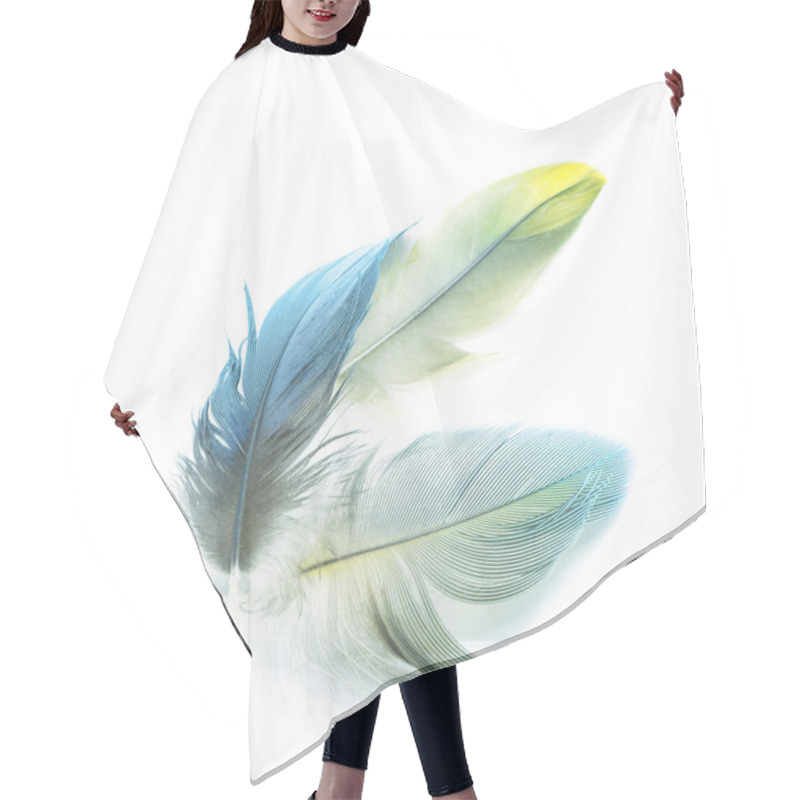 Personality  Bird Feathers Isolated Hair Cutting Cape