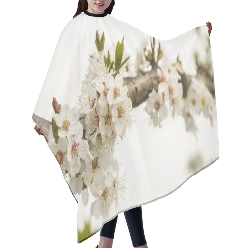 Personality  Flowering Tree In The Spring Hair Cutting Cape