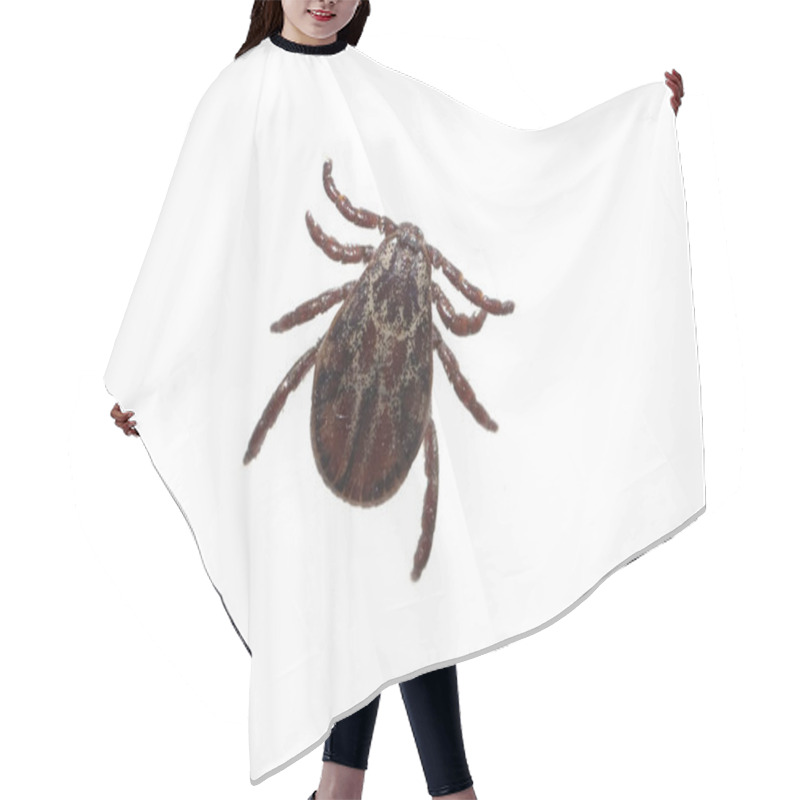 Personality  Spider Isolated On White Background Hair Cutting Cape