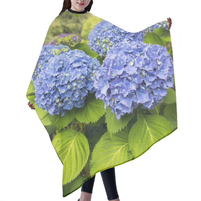 Personality  Blue Hydrangea Hair Cutting Cape