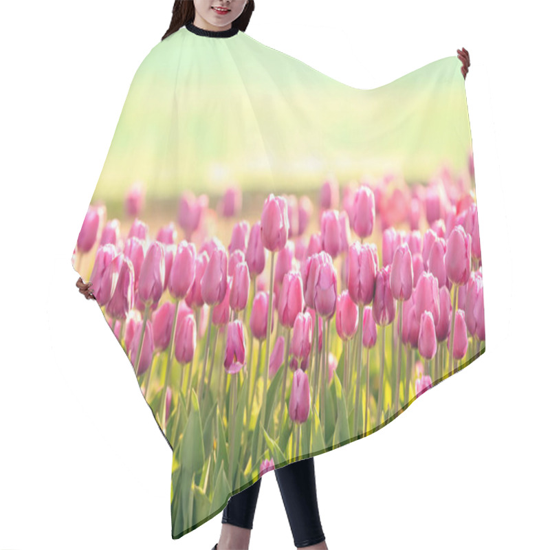 Personality  Picturesque View Of Field With Blossoming Tulips On Sunny Spring Day Hair Cutting Cape