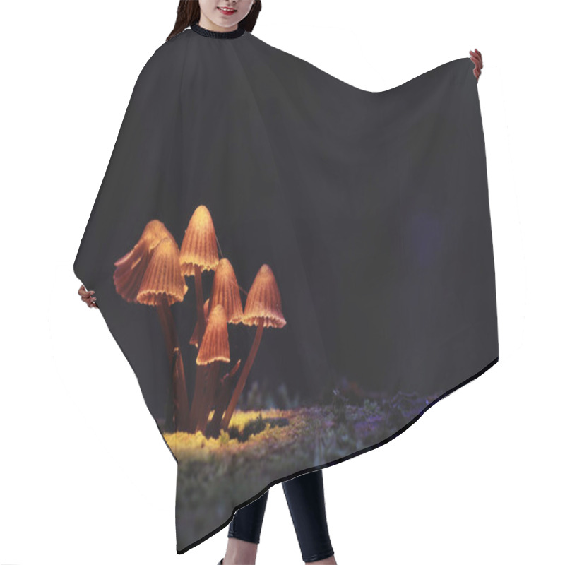 Personality  Small Poisonous Mushrooms Hair Cutting Cape