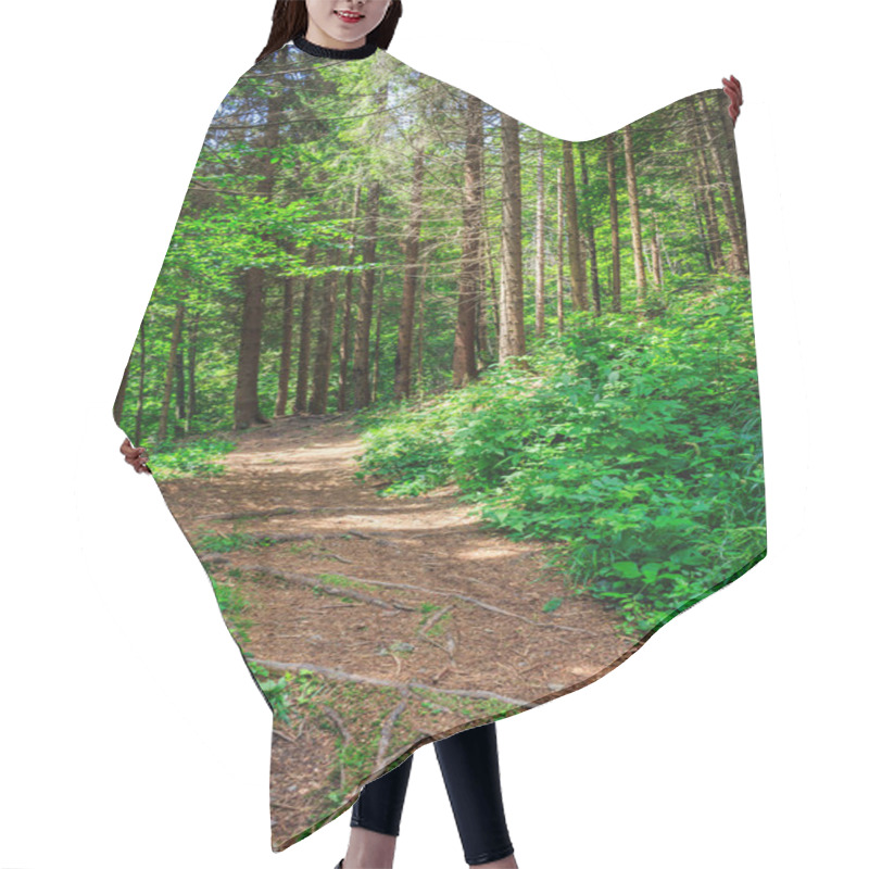 Personality  Pathway In A Forest Go Up Hair Cutting Cape