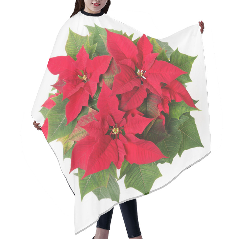 Personality  Poinsettia Hair Cutting Cape