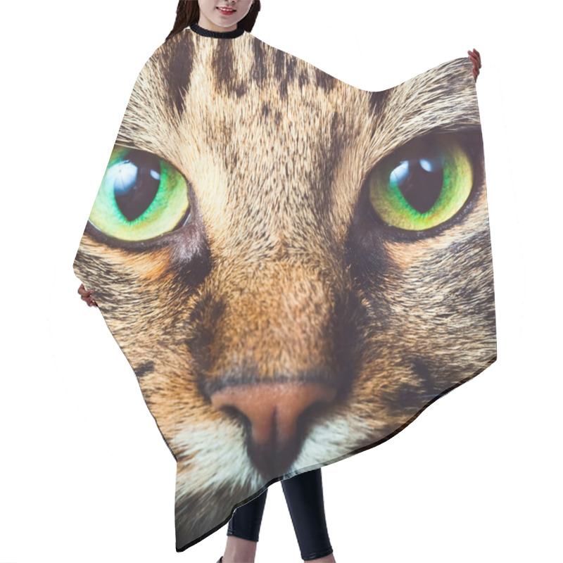 Personality  Tabby Cat Hair Cutting Cape