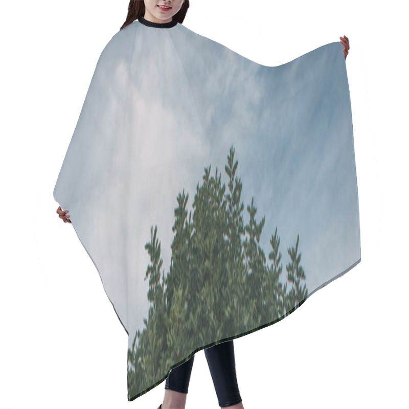 Personality  Panoramic Shot Of Green Leaves On Branches Against Blue Sky  Hair Cutting Cape