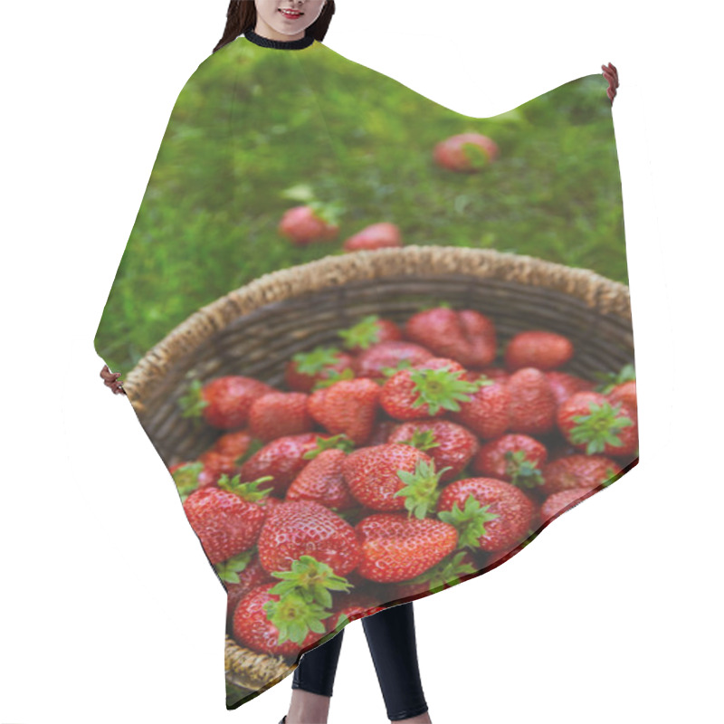 Personality  Sweet Fresh Strawberries In Wicker Basket On Green Grass Hair Cutting Cape