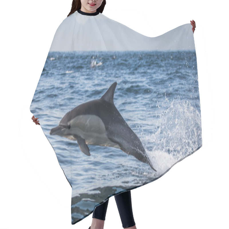 Personality  Dolphin In Blue Sea Hair Cutting Cape