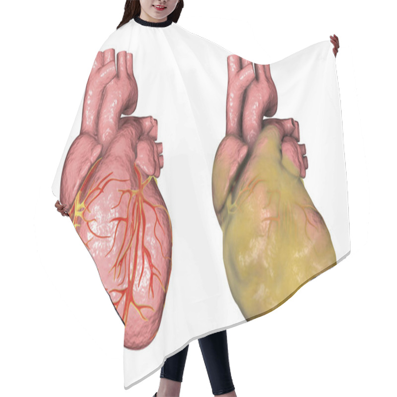 Personality  Obese Heart, Illustration Hair Cutting Cape