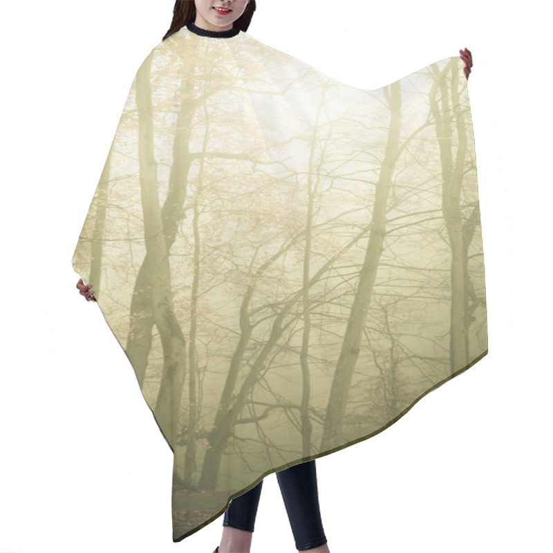 Personality  Trees In Autumn Park Foggy Day Hair Cutting Cape