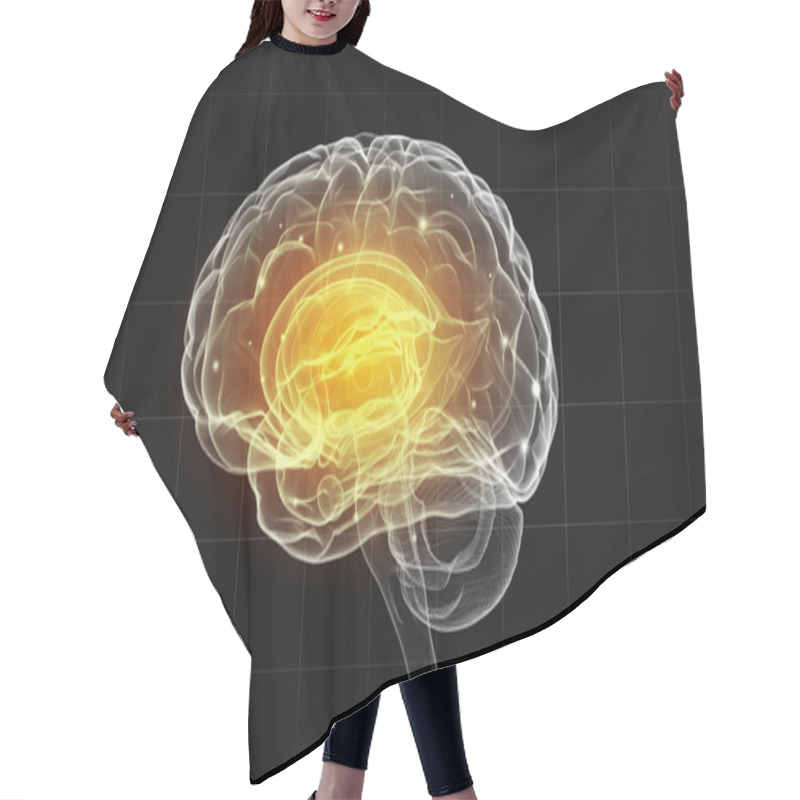 Personality  Human Brain Hair Cutting Cape