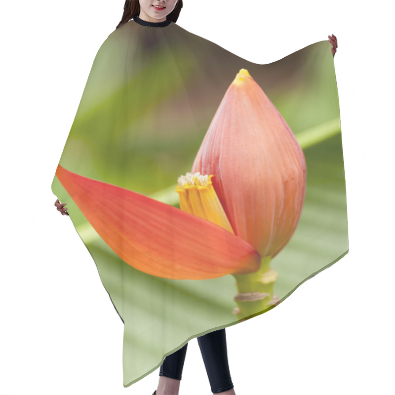 Personality  Banana Blossom Hair Cutting Cape