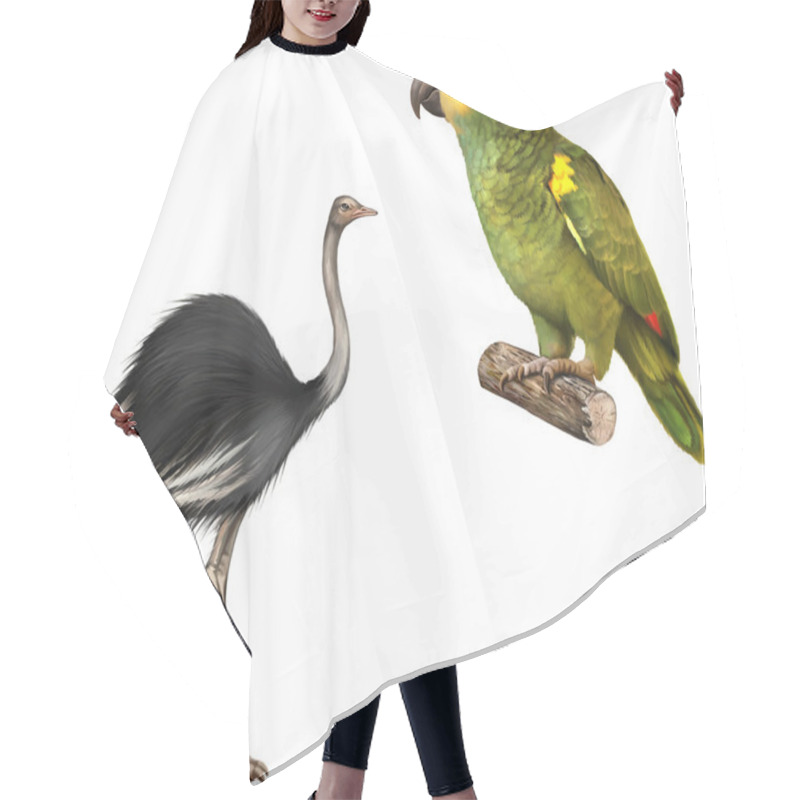 Personality  Green Parrot And Ostrich Hair Cutting Cape