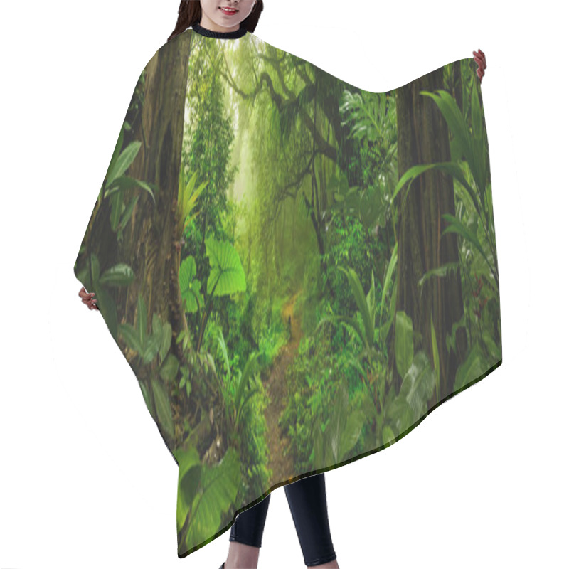 Personality  Tropical Rain Forest In Costa Rica Hair Cutting Cape