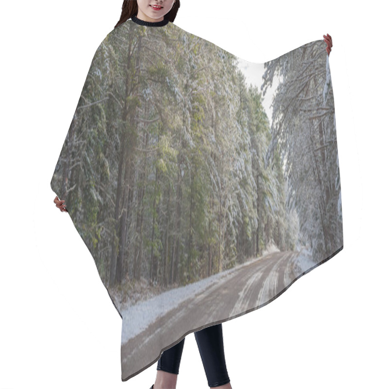 Personality  Snow Covered Pines - Beautiful Forests Along Rural Roads. Hair Cutting Cape