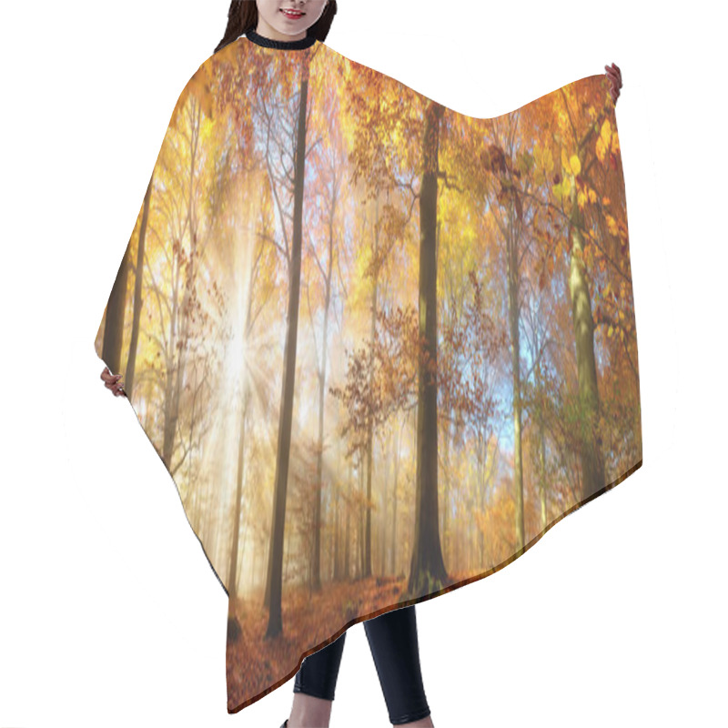 Personality  Gold Sunrays In A Misty Autumn Forest Hair Cutting Cape