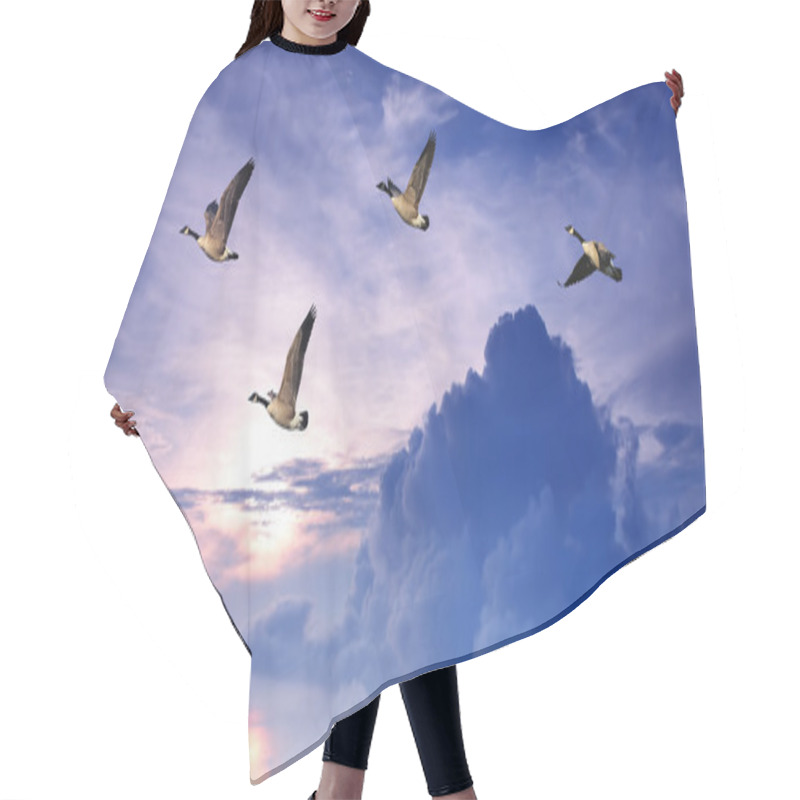 Personality  Birds Flying Over Purple Sky Panoramic View Hair Cutting Cape