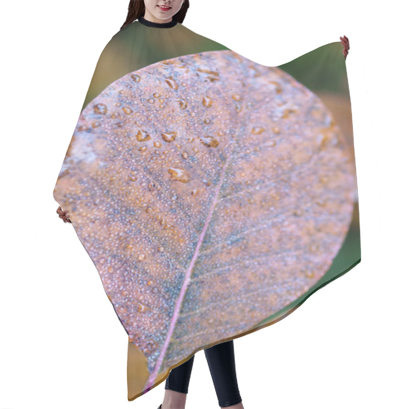 Personality  Leaves And Rain Hair Cutting Cape