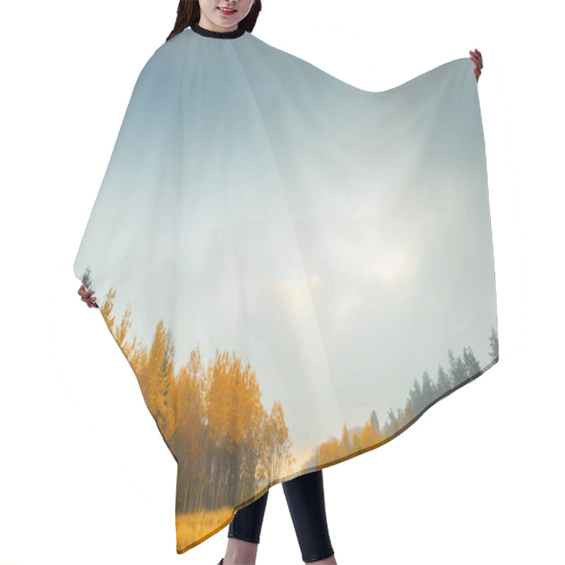 Personality  Autumn Coniferous Forest. Sunrise. Autumn Foggy Morning.  Hair Cutting Cape