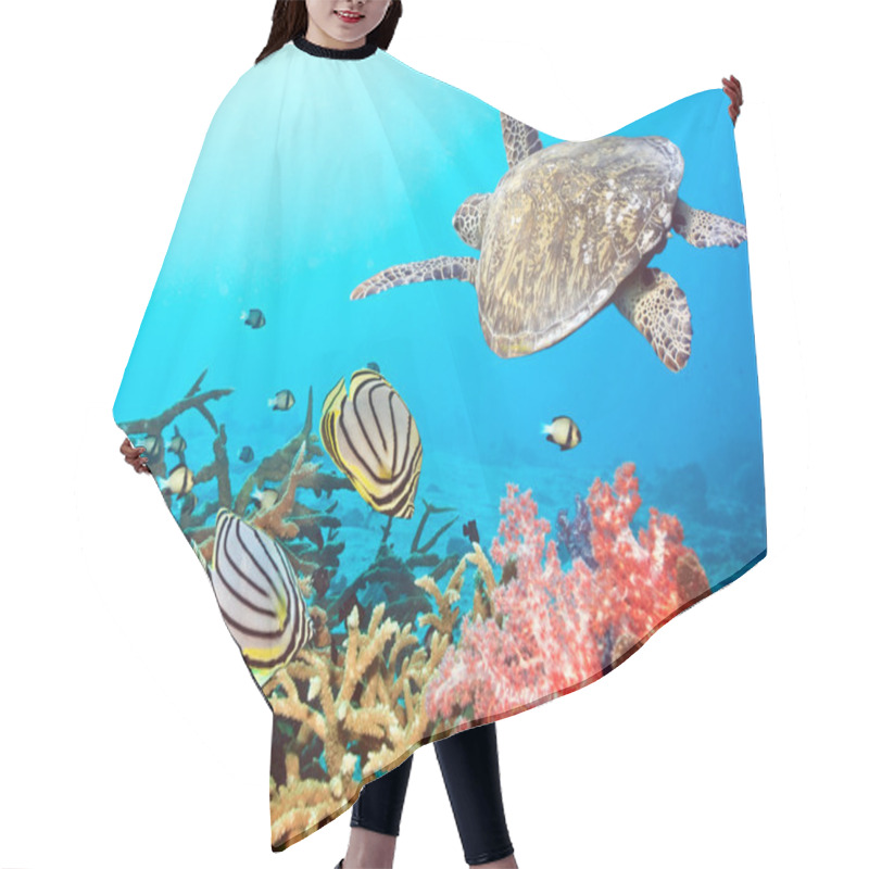 Personality  Butterflyfishes And Turtle Hair Cutting Cape