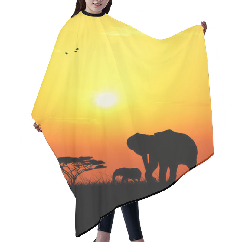 Personality  Elephant At Sunset Hair Cutting Cape