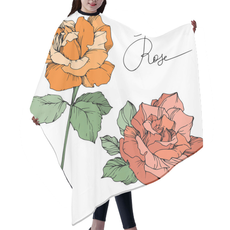 Personality  Vector. Orange And Coral Roses With Green Leaves Isolated On White Background. Engraved Ink Art. Hair Cutting Cape