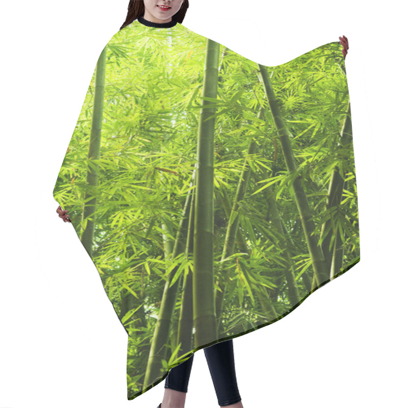 Personality  Bamboo Forest Hair Cutting Cape