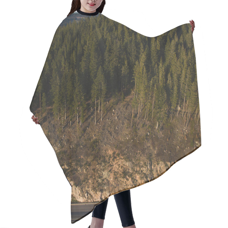 Personality  Aerial Hair Cutting Cape