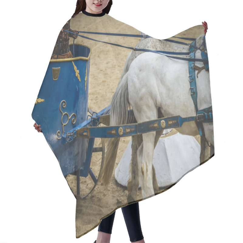 Personality  Chariot Race In A Roman Circus Hair Cutting Cape