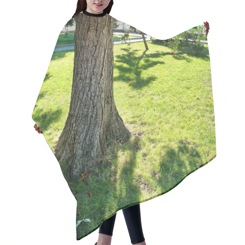 Personality  Big Mapple Tree Hair Cutting Cape