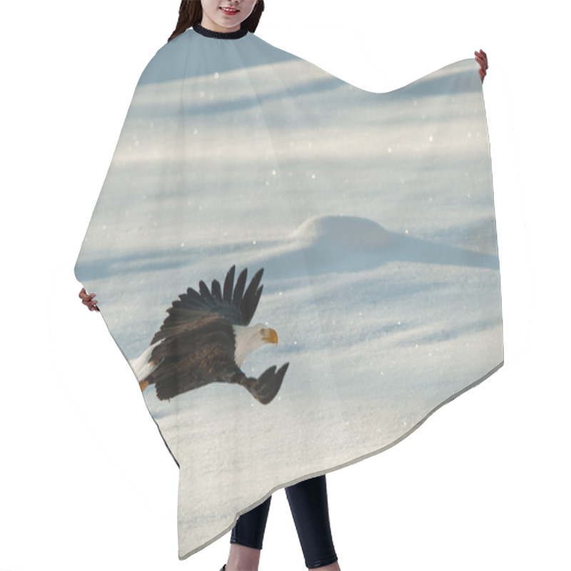 Personality  Flying Bald Eagle. Hair Cutting Cape