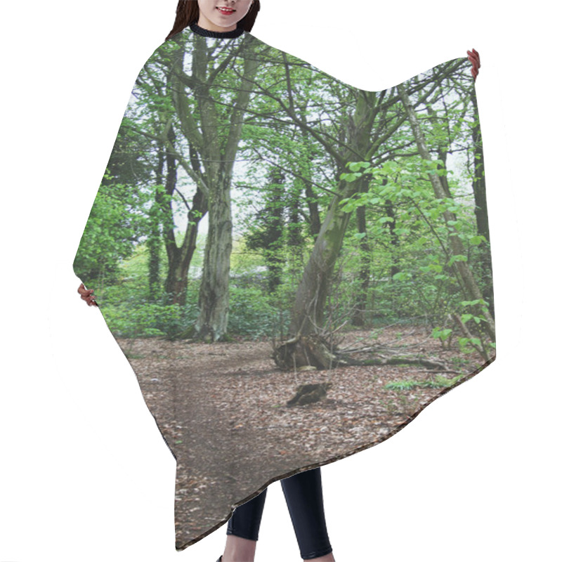 Personality  A Woodland Path Hair Cutting Cape