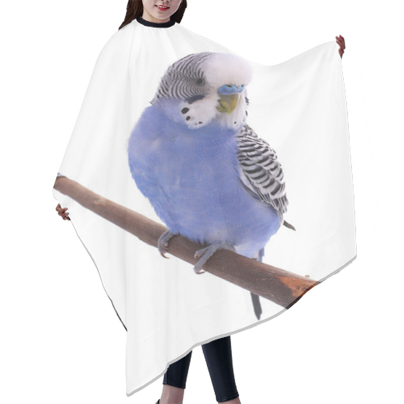 Personality  Bird Hair Cutting Cape