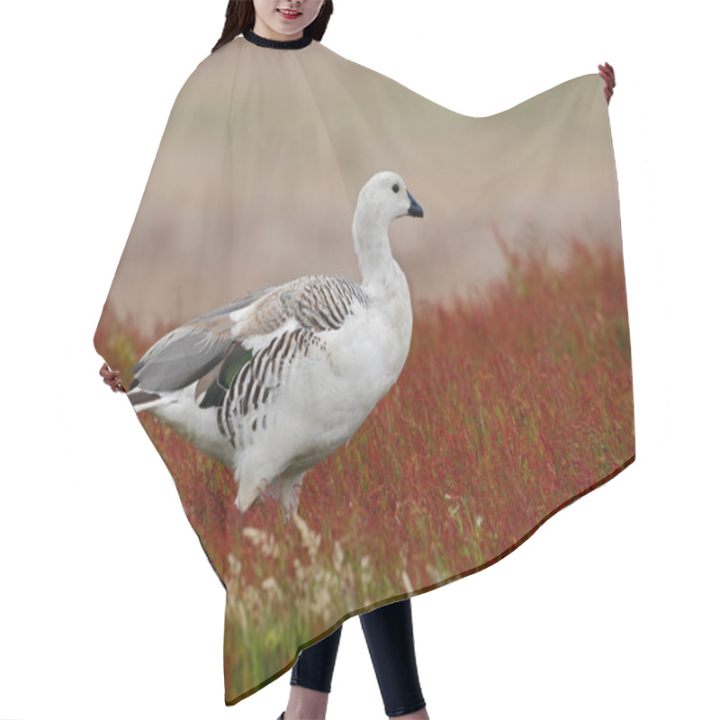 Personality  Wild White Upland Goose Hair Cutting Cape