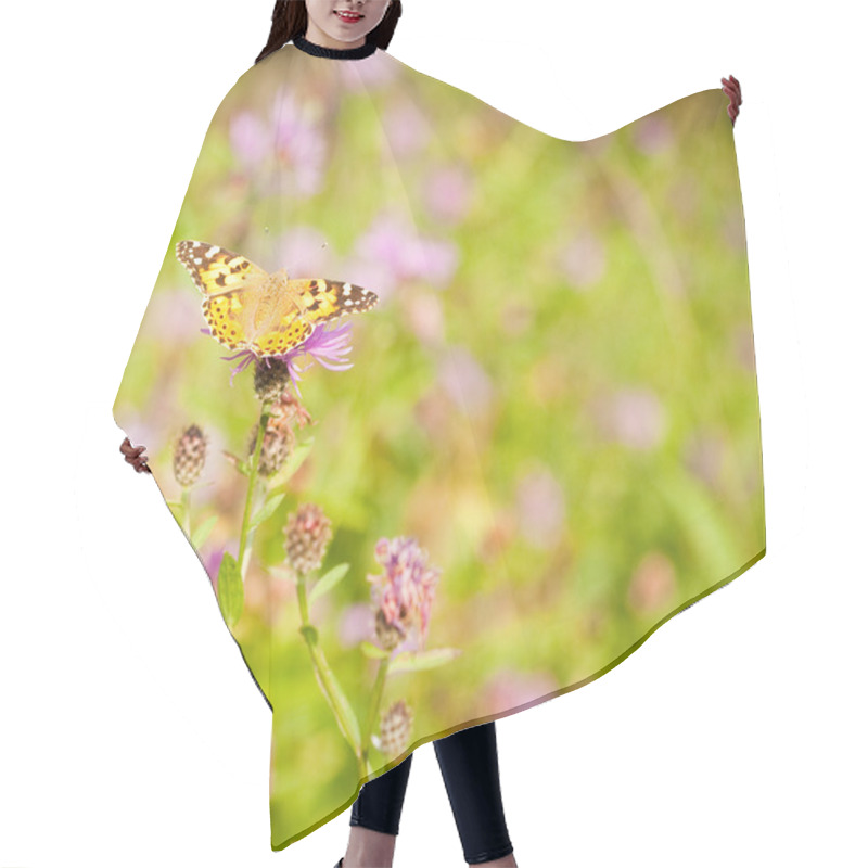 Personality  Yellow Butterfly Hair Cutting Cape