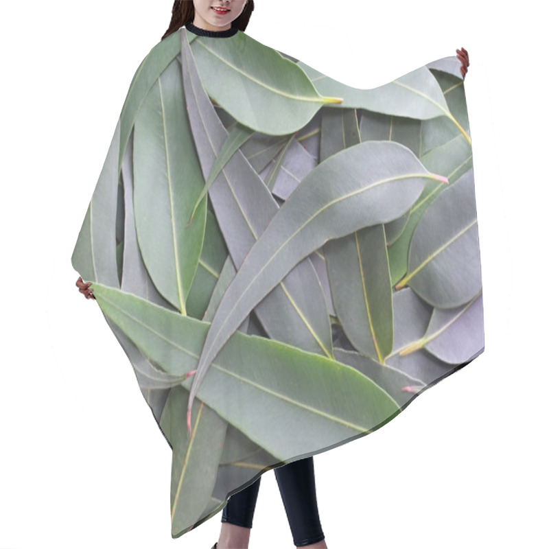 Personality  Gum Leaf Background Hair Cutting Cape