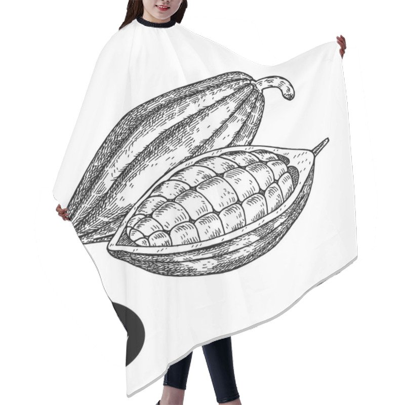 Personality  Hand Drawn Sketch Style Cocoa Bean. Hair Cutting Cape