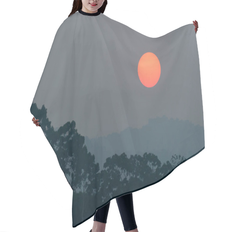 Personality  Glowing Sun Setting Over A Tropical Forest. Hair Cutting Cape