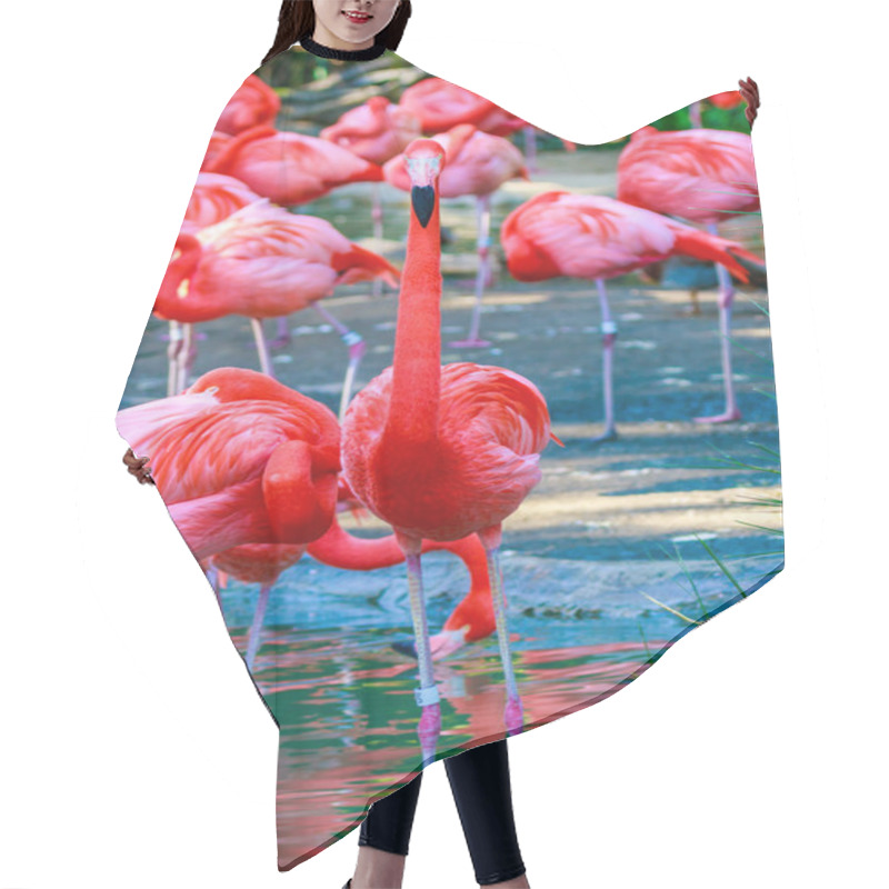 Personality  Flamboyance Of Flamingos Hair Cutting Cape