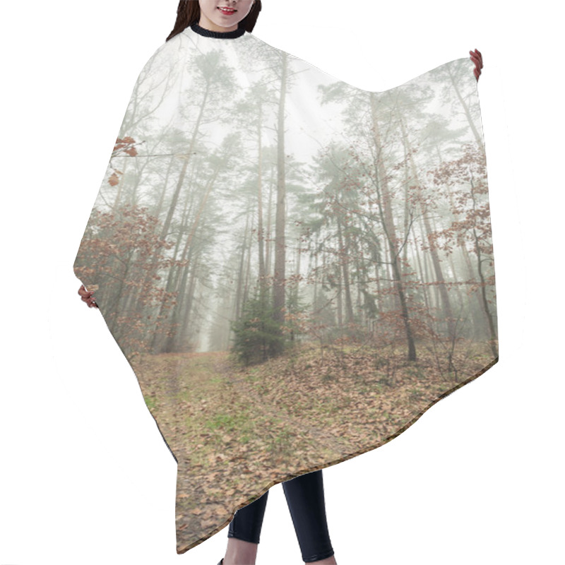 Personality  Pathway Through The Misty Autumn Forest Hair Cutting Cape