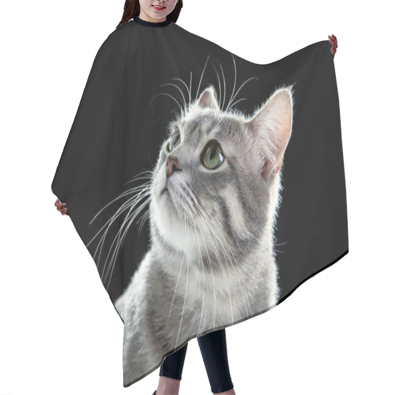 Personality  Cute Funny Cat Hair Cutting Cape