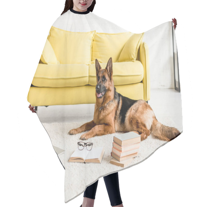 Personality  Cute German Shepherd Lying On Floor With Laptop And Books In Apartment  Hair Cutting Cape