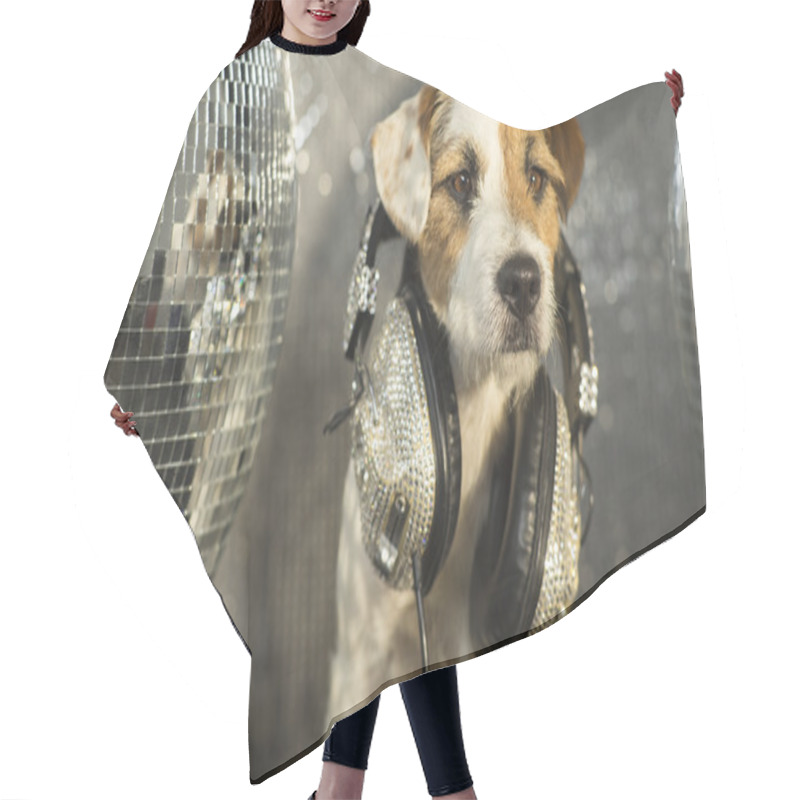 Personality  Dog Disco Animal Fun Hair Cutting Cape