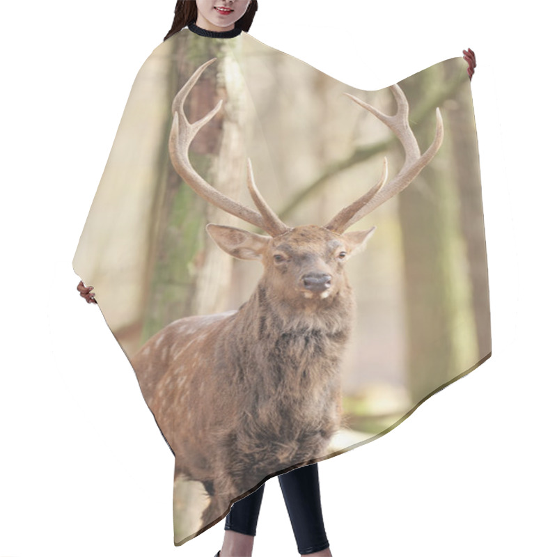 Personality  Deer In Autumn Forest Hair Cutting Cape