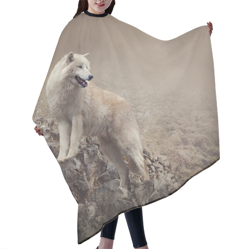 Personality  White Wolf Hair Cutting Cape